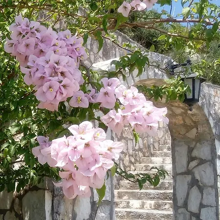 Apartmanhotel Rania - Rania & Lászi